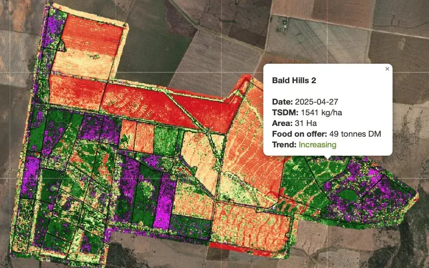 Maps_PastureKeyLayers_BiomassPopup-e1746061218487-883x551